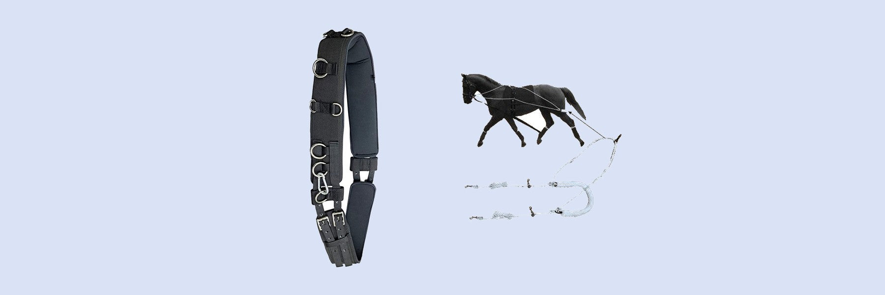 Horse Tack