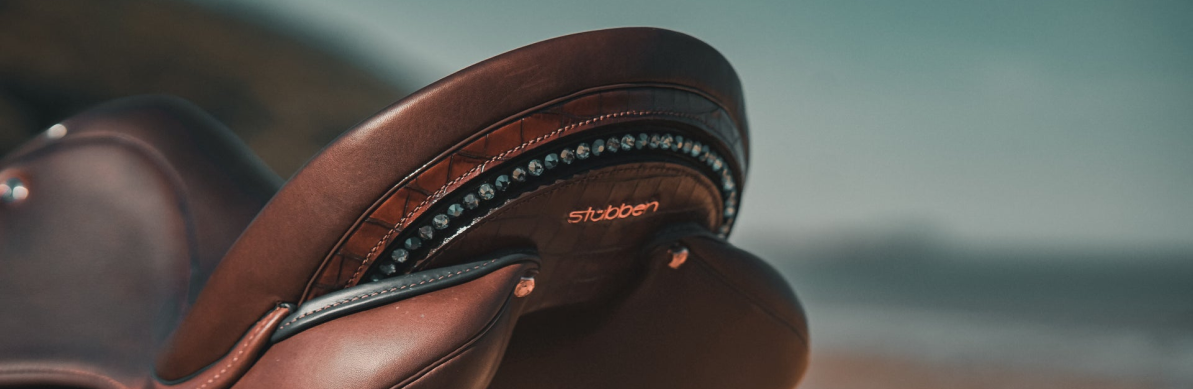 Saddles collection