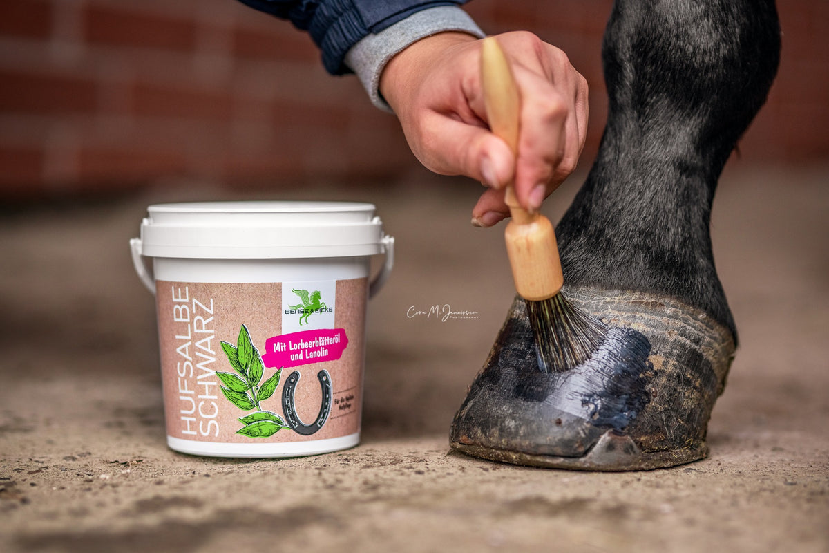 Bense & Eicke Black Hoof Ointment