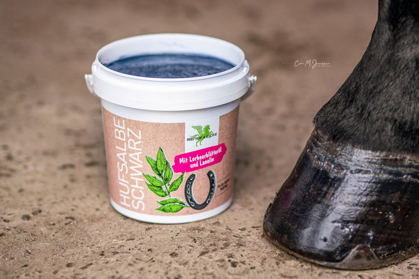 Bense & Eicke Black Hoof Ointment