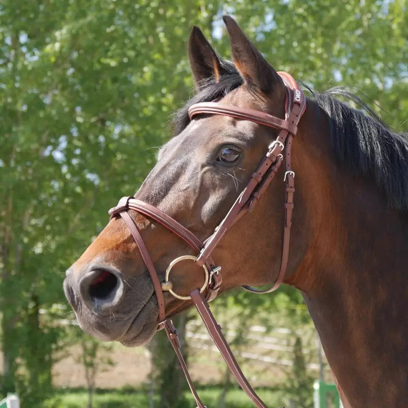 CWD Anatomic French Noseband Bridle with Fancy Stitching