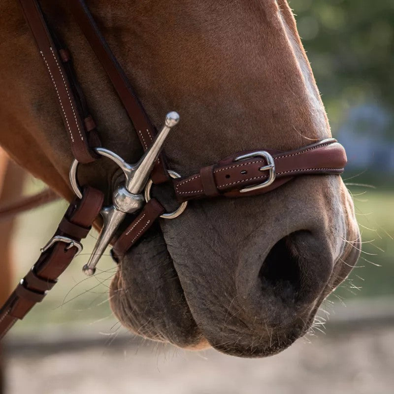 CWD Drop Noseband