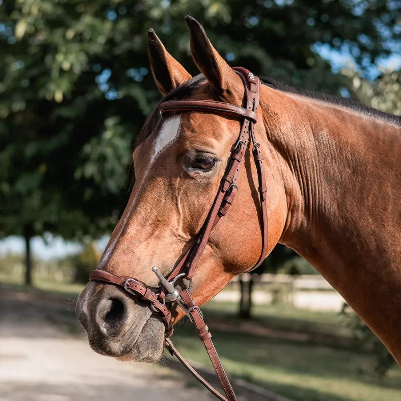 CWD Drop Noseband