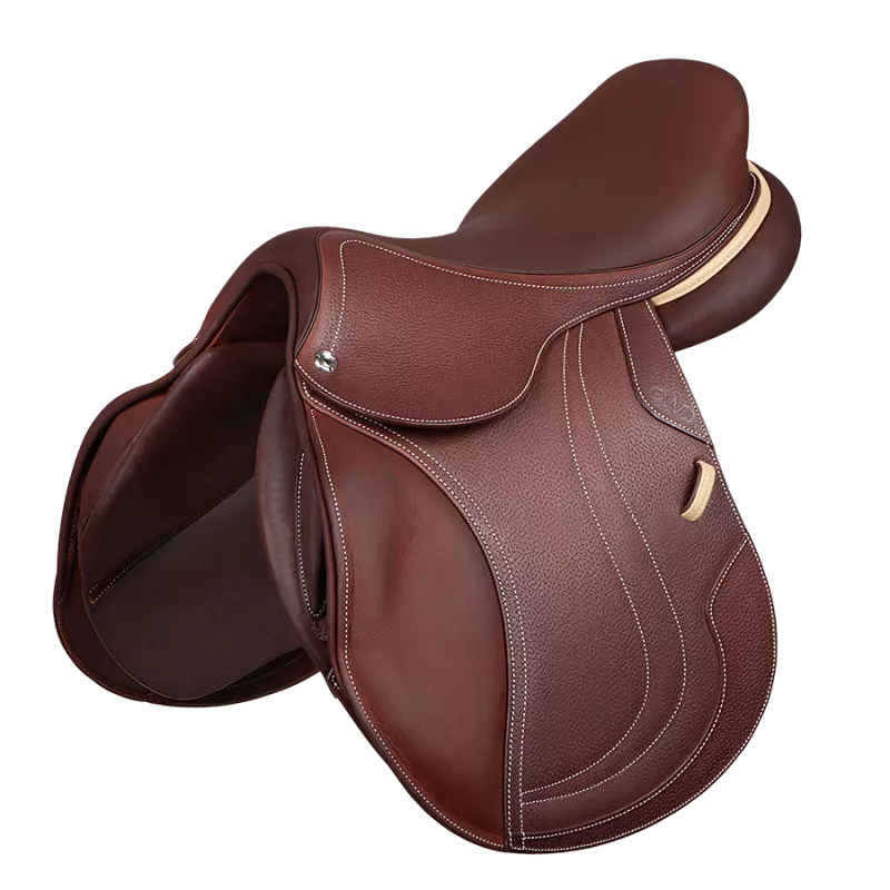 CWD Optim Saddle