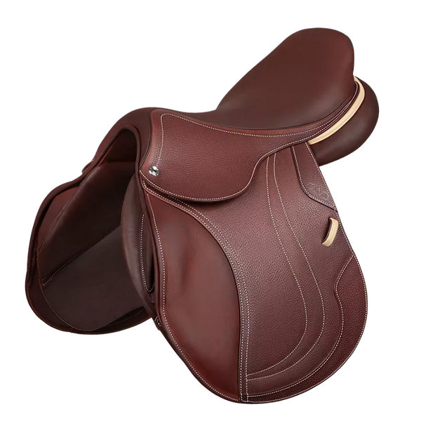 CWD Optim Saddle