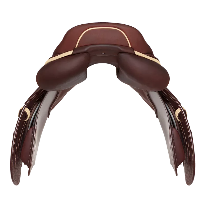 CWD Optim Saddle