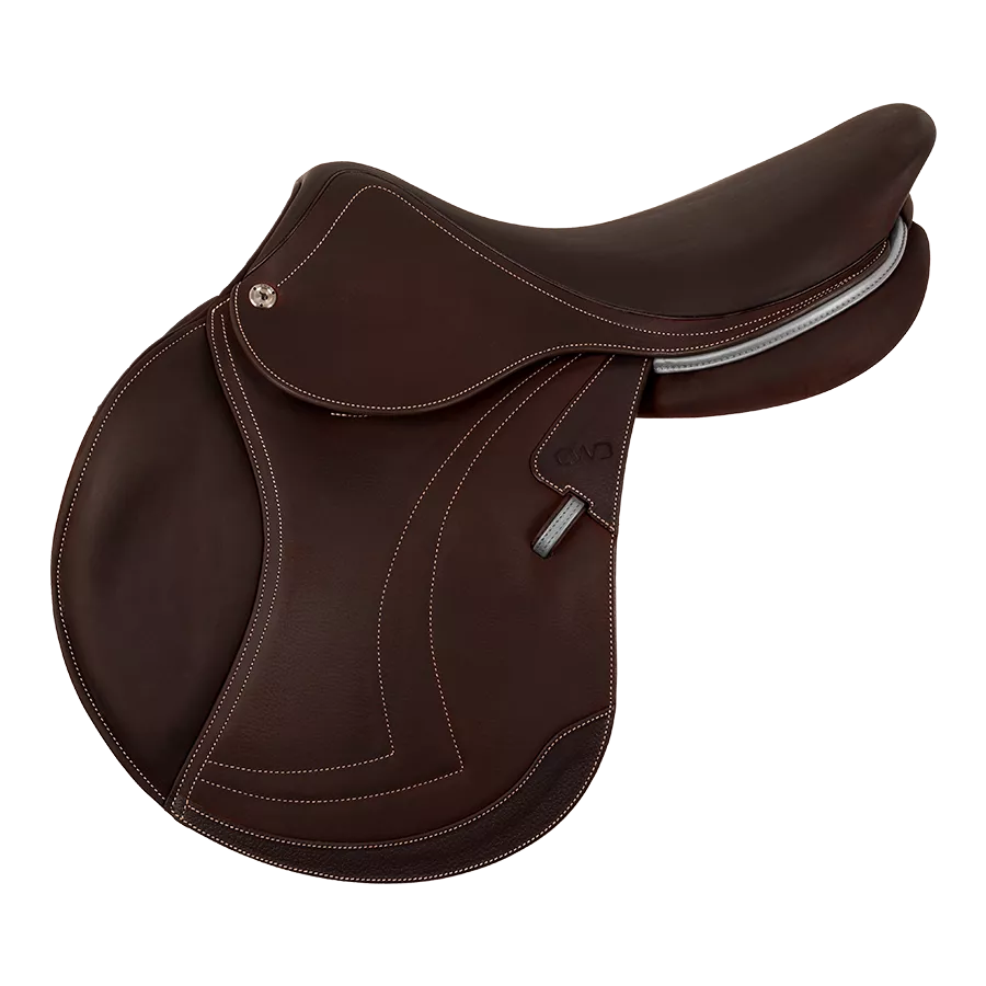CWD Optim Saddle