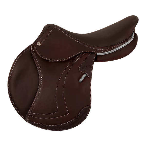 CWD Optim Saddle