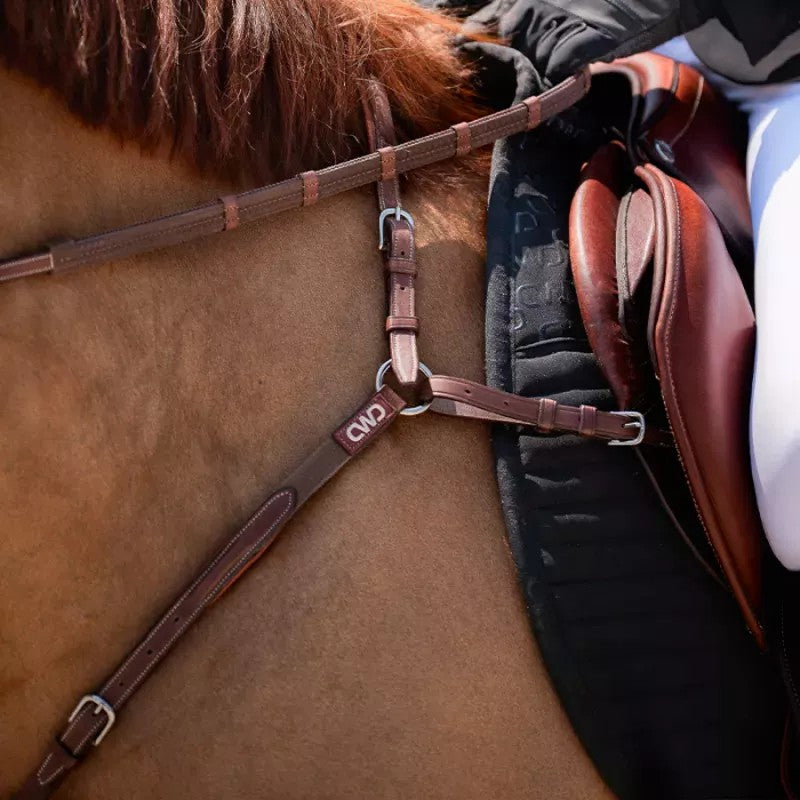 Raised Adjustable Bridge Breastplate Secondary image