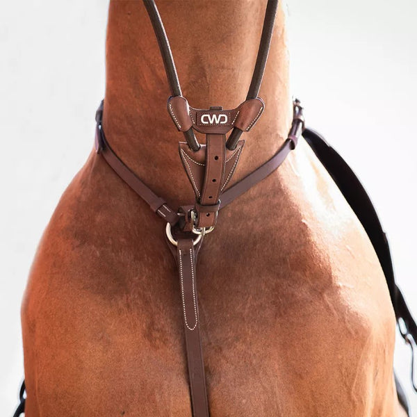 CWD Raised Elastic Martingale Attachment
