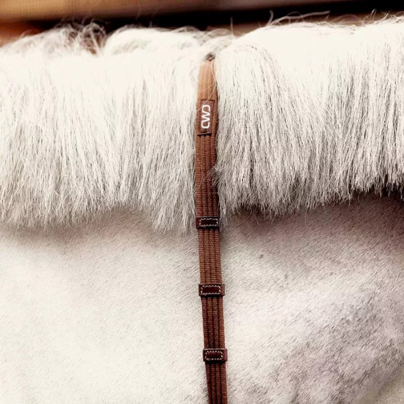 CWD Raised Web Reins with Fancy Stitching