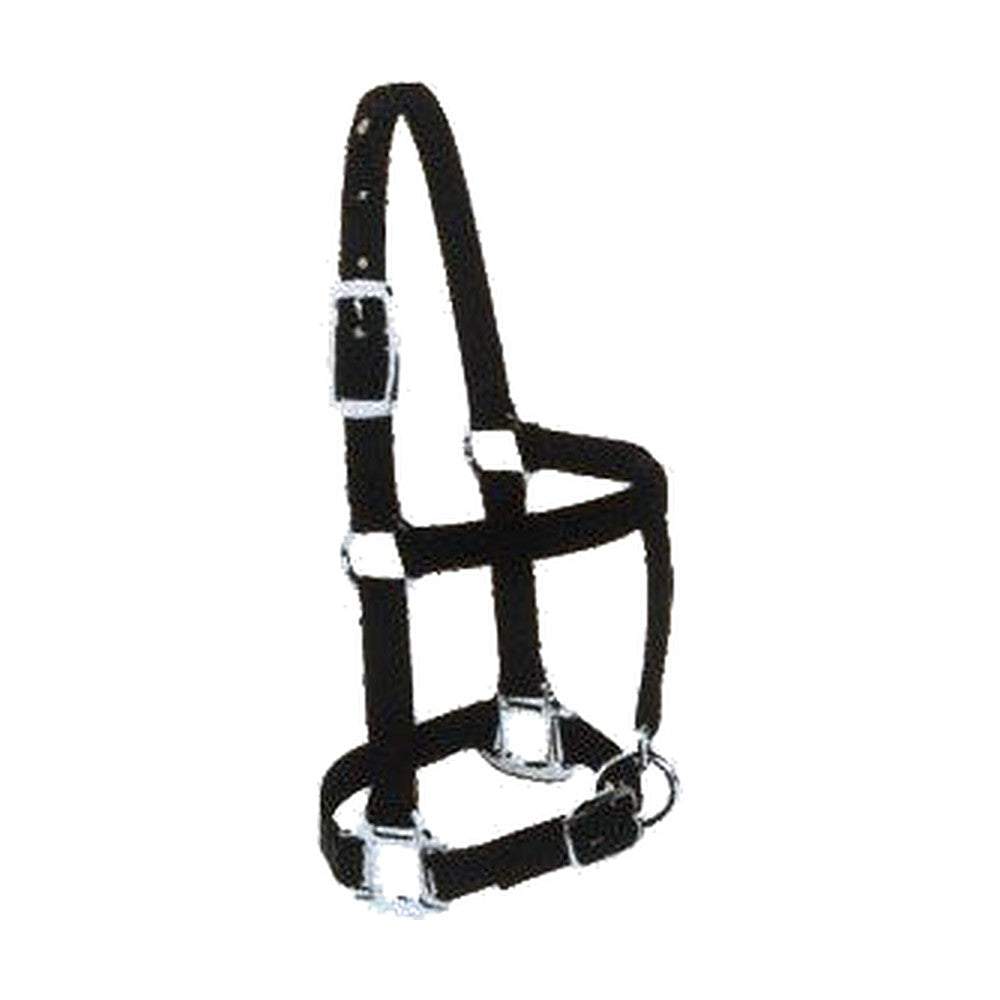HOMER Deluxe Foal Halter