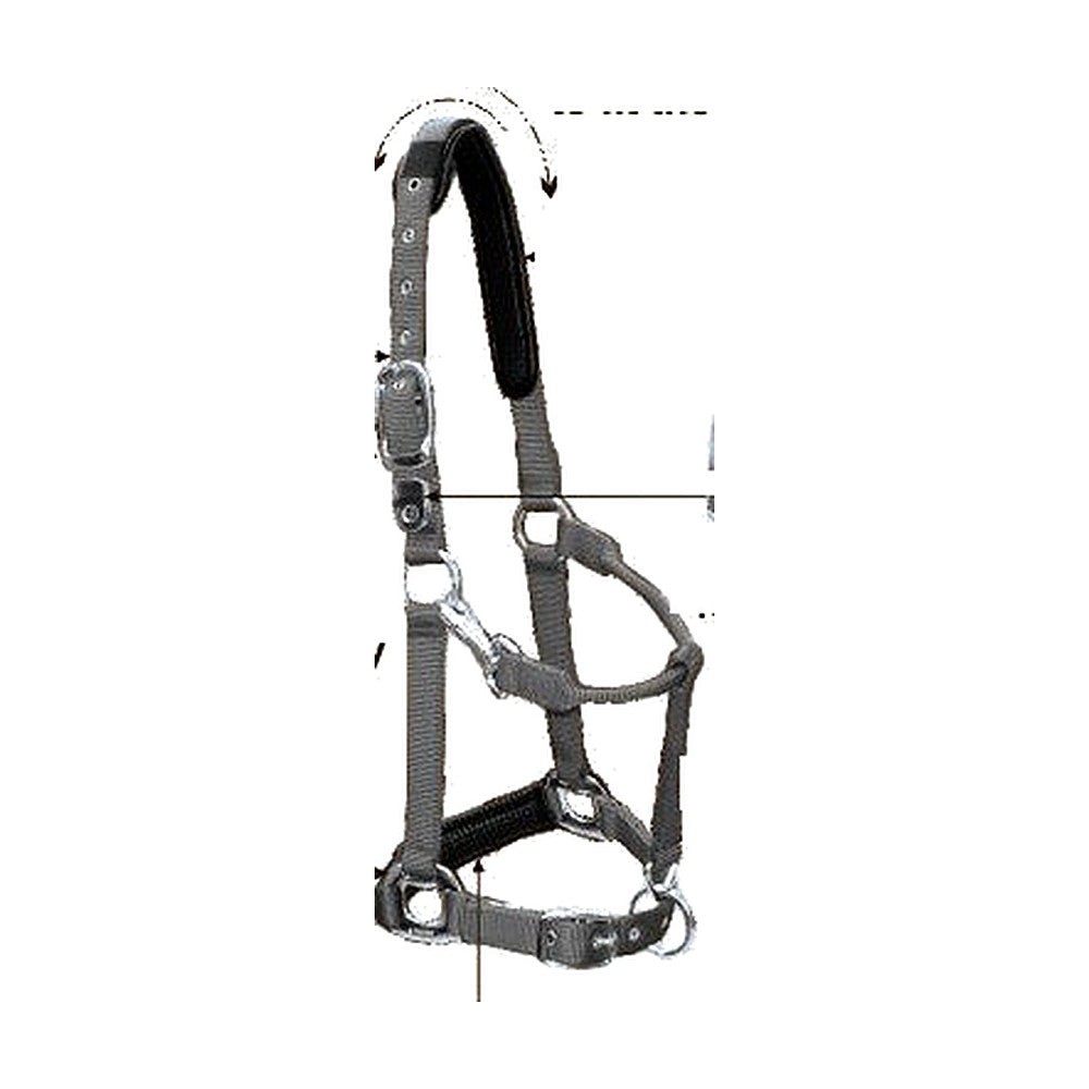 HOMER Deluxe Nylon Halter Main image