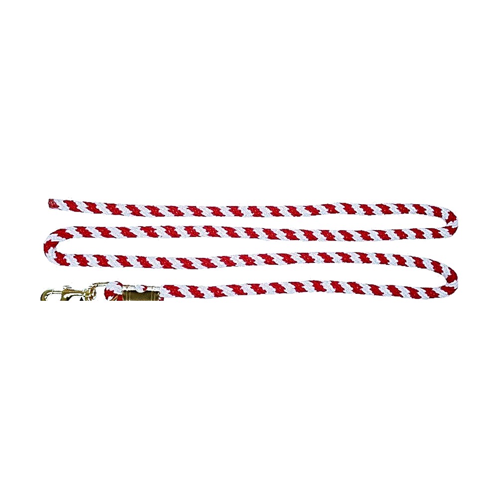HOMER Thick Braided Soft Lead Rope Main image