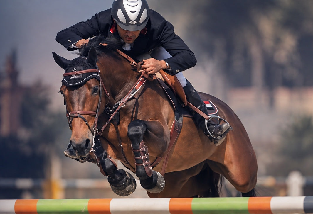 Show jumper clearing a fence