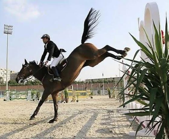Show jumping at speed