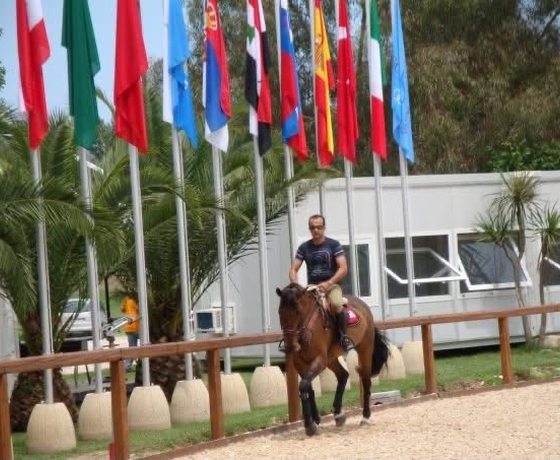 Flags at the arena