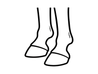 Hoof care dressings icon