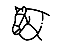 Bridles and nosebands