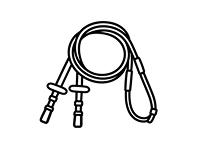 Reins